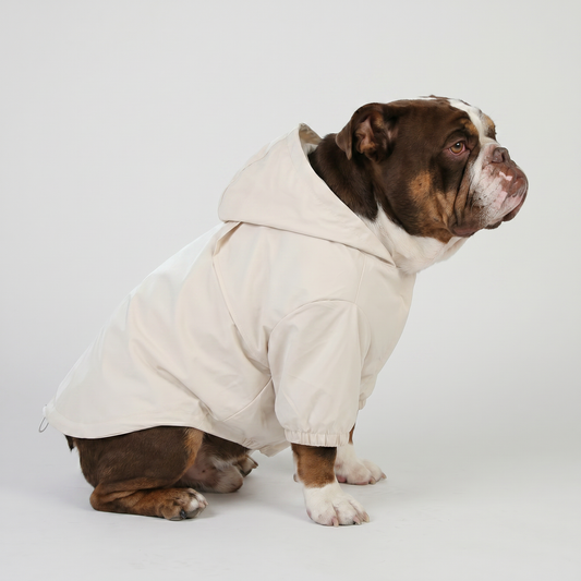 Sail Raincoat