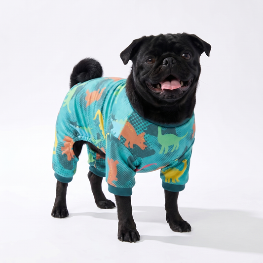 Dino-Mite PJs