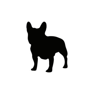 files/360_F_251320096_bdSICTG9Pode8I6jFMMZRszL6xgFCmme.jpg