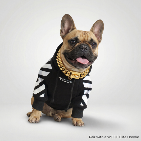 The Cuban Link™ - Gold