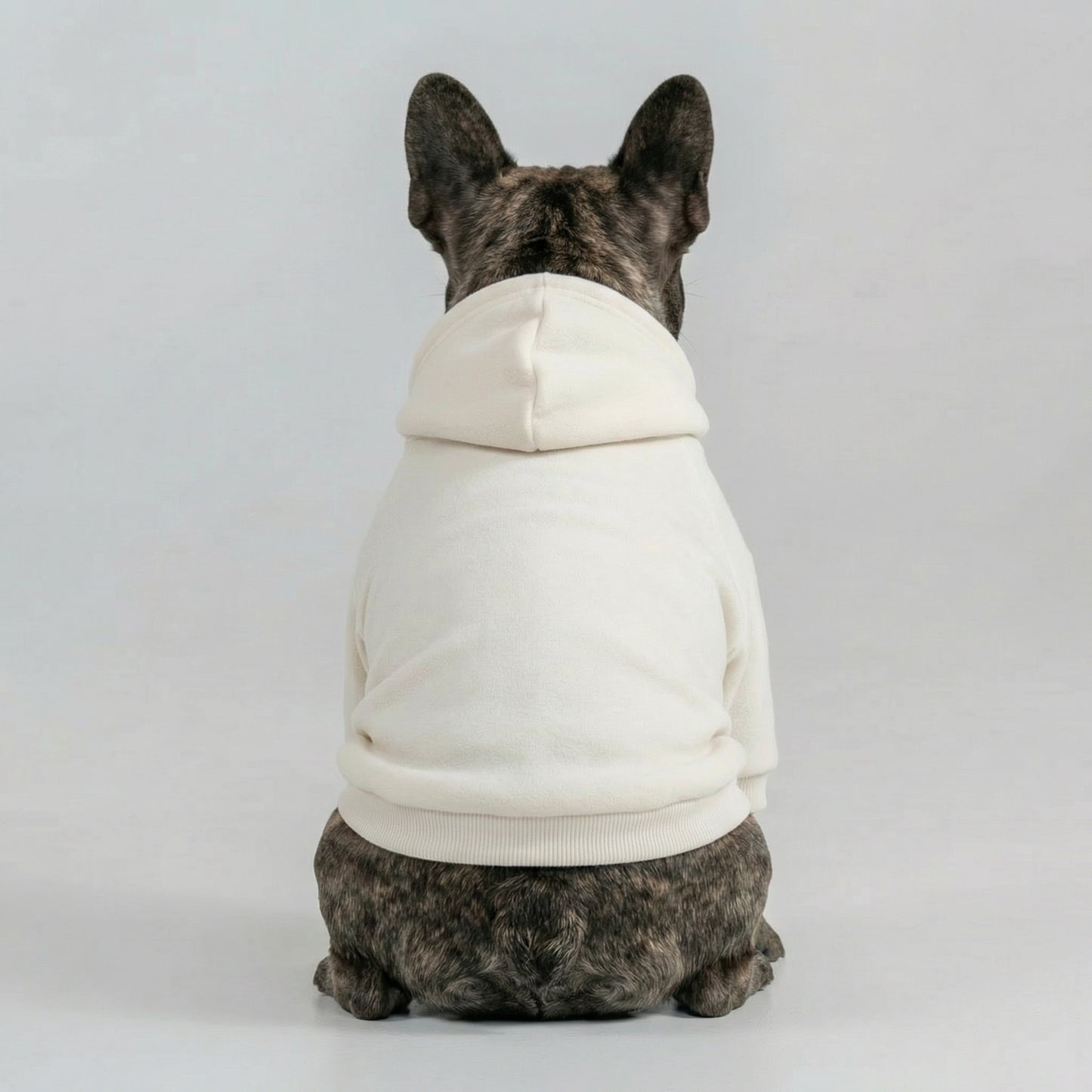 ImpossiblySoft Hoodie - Sail