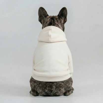 ImpossiblySoft Hoodie - Sail