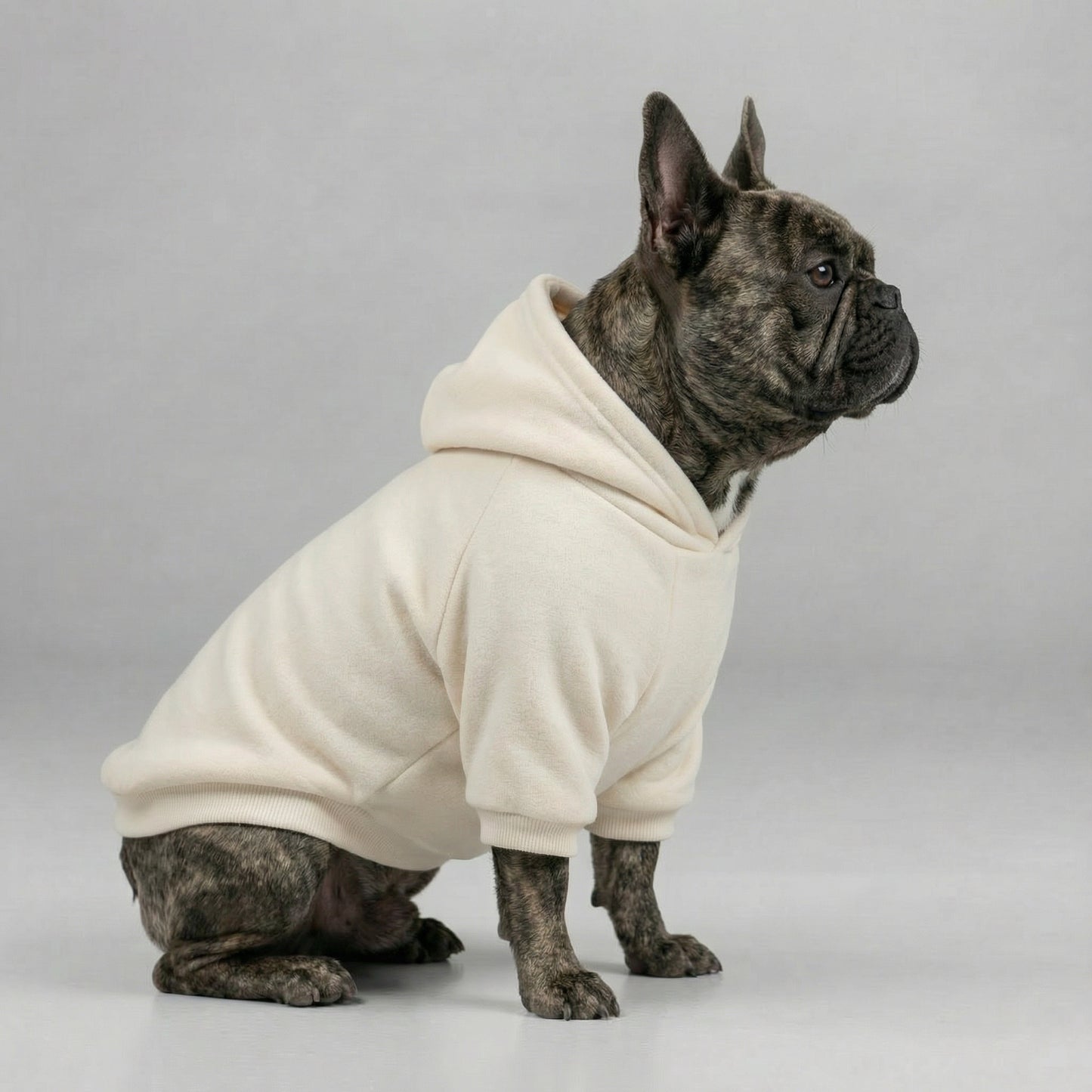 ImpossiblySoft Hoodie - Sail