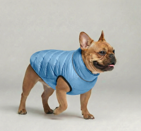 Reversible Puffer – Neon Green/Coastal Blue