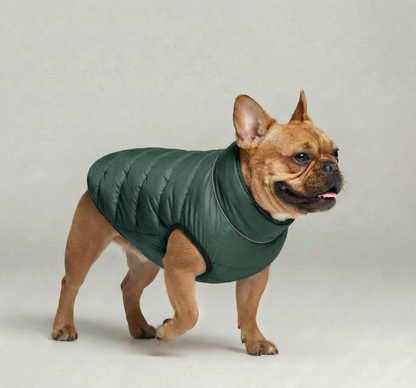 Reversible Puffer – Citrus/Khaki
