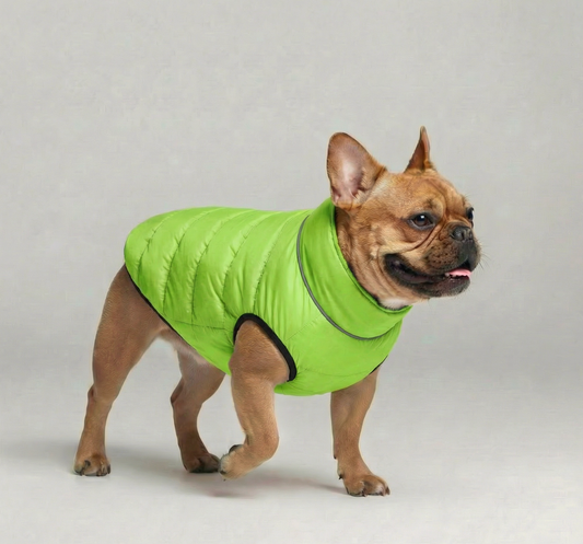 Reversible Puffer – Neon Green/Coastal Blue