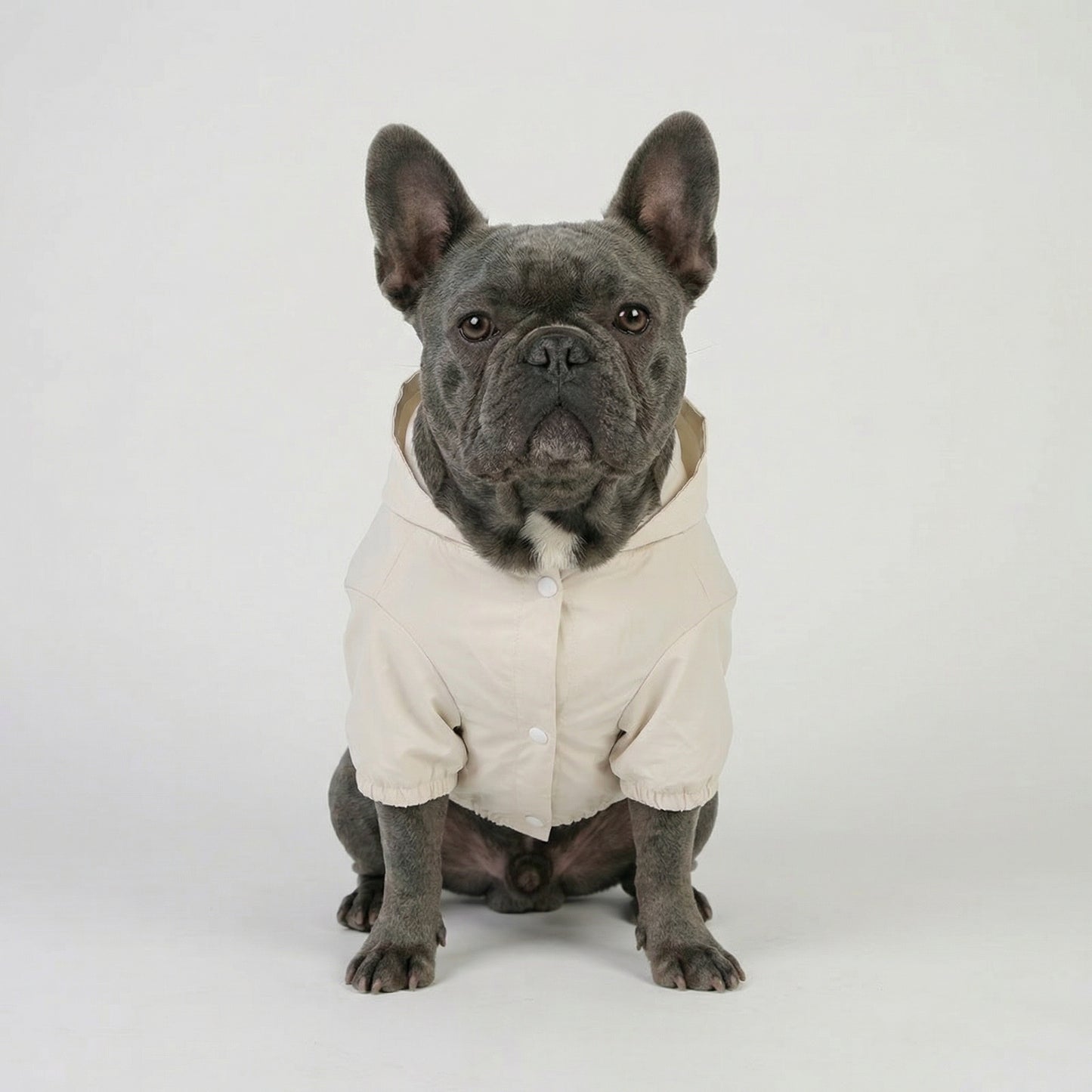 Sail Raincoat