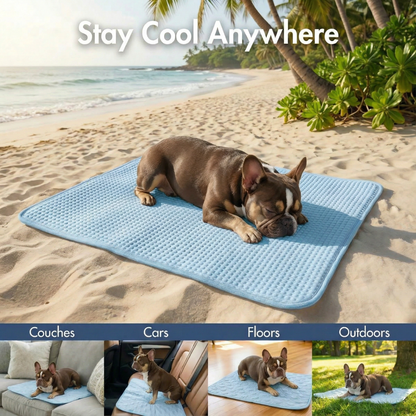Arctic Shield™ Cooling Mat - Blue