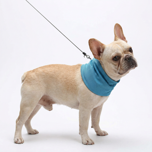 Arctic Wrap™ Cooling Wrap - Blue