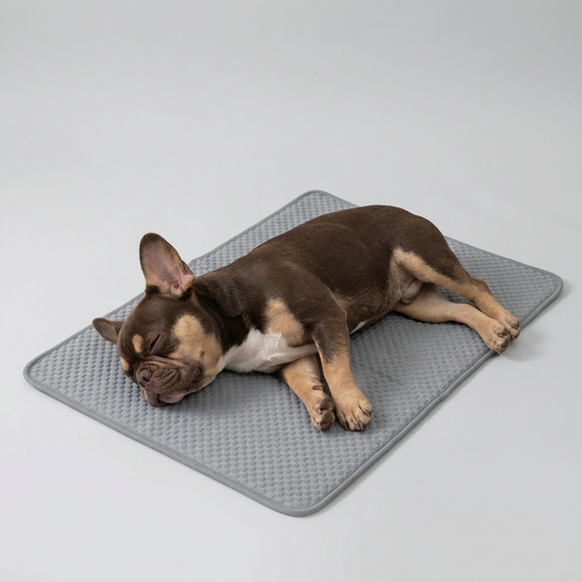 Arctic Shield™ Cooling Mat - Grey