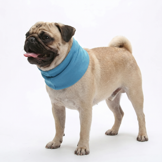 Arctic Wrap™ Cooling Wrap - Blue