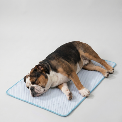 Arctic Shield™ Cooling Mat - Blue