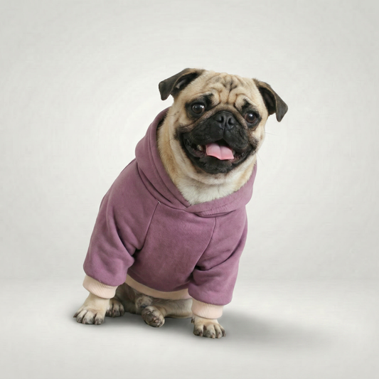 ImpossiblySoft Hoodie - Violet Dust