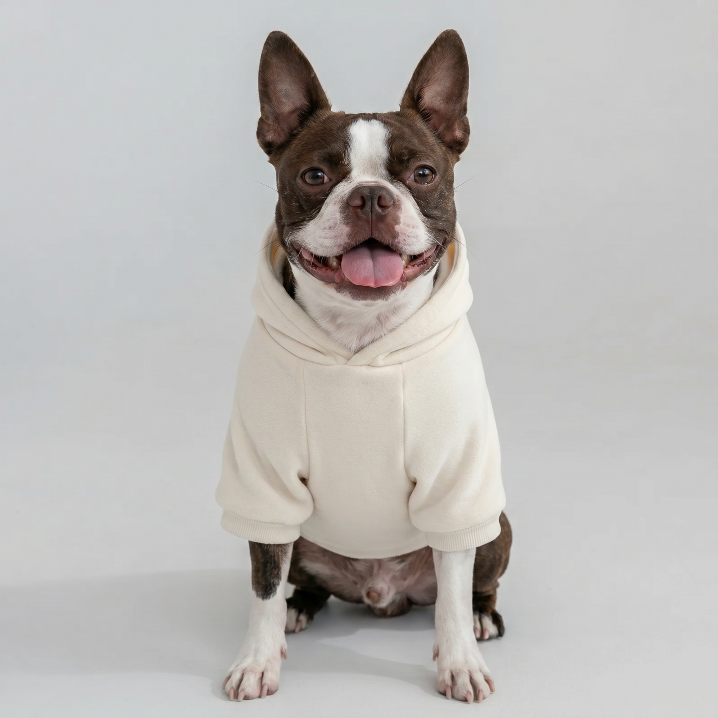 ImpossiblySoft Hoodie - Sail