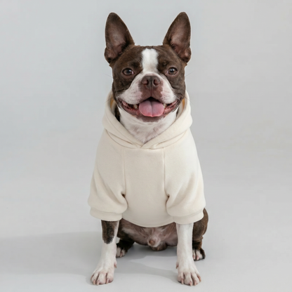 ImpossiblySoft Hoodie - Sail
