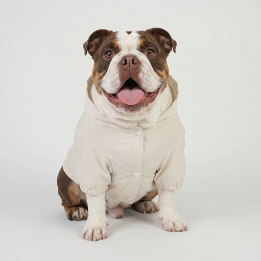 Sail Raincoat