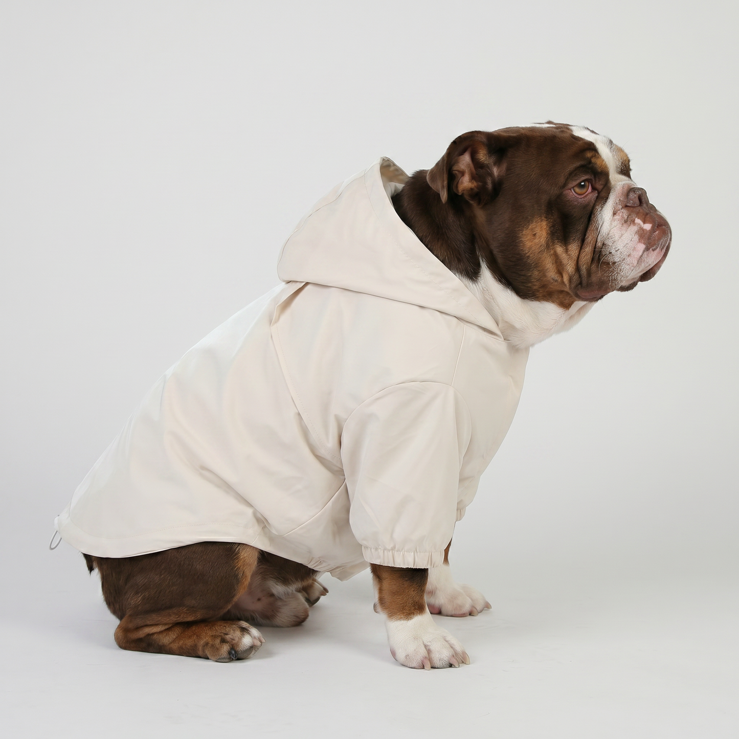 Sail Raincoat