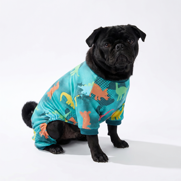 Dino-Mite PJs