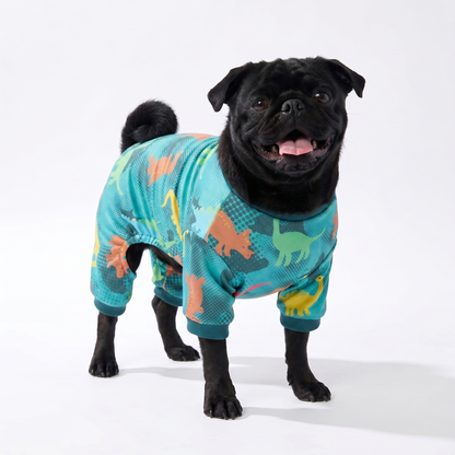 Dino-Mite PJs