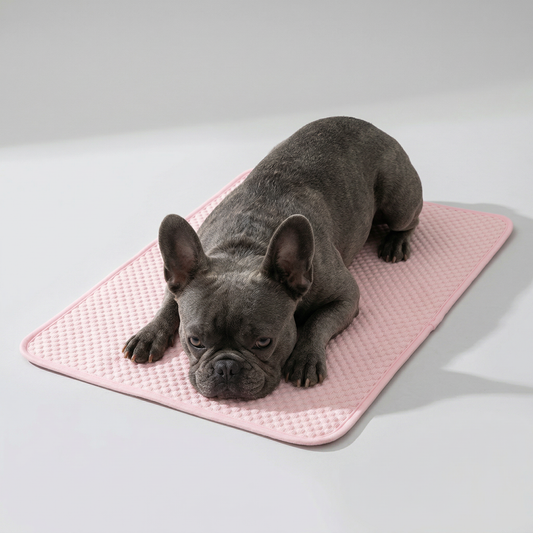 Arctic Shield™ Cooling Mat - Pink